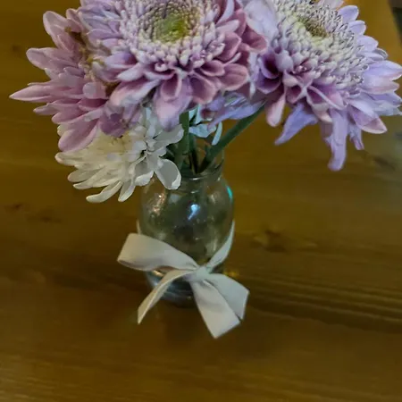 Dangelo Vatican * Ρώμη